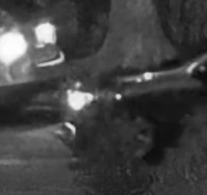 Suspect fog-light housing — un-glared
